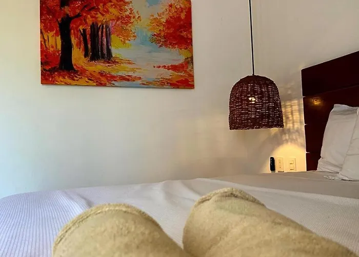 Zendero Hotel 4*
