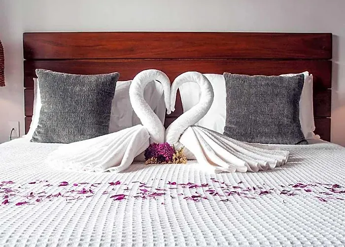 Hotel Zendero 4*