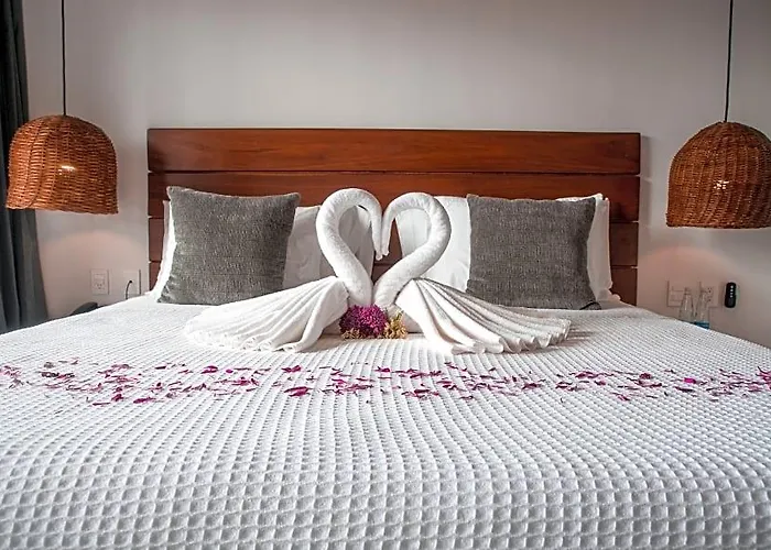 Zendero Hotel 4*